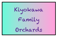 Kiyokawa  
Family Orchards